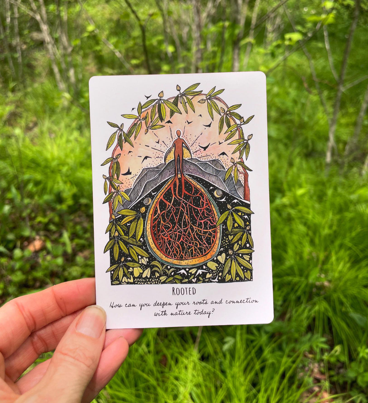 【預訂】 Phases and Forests Oracle Deck