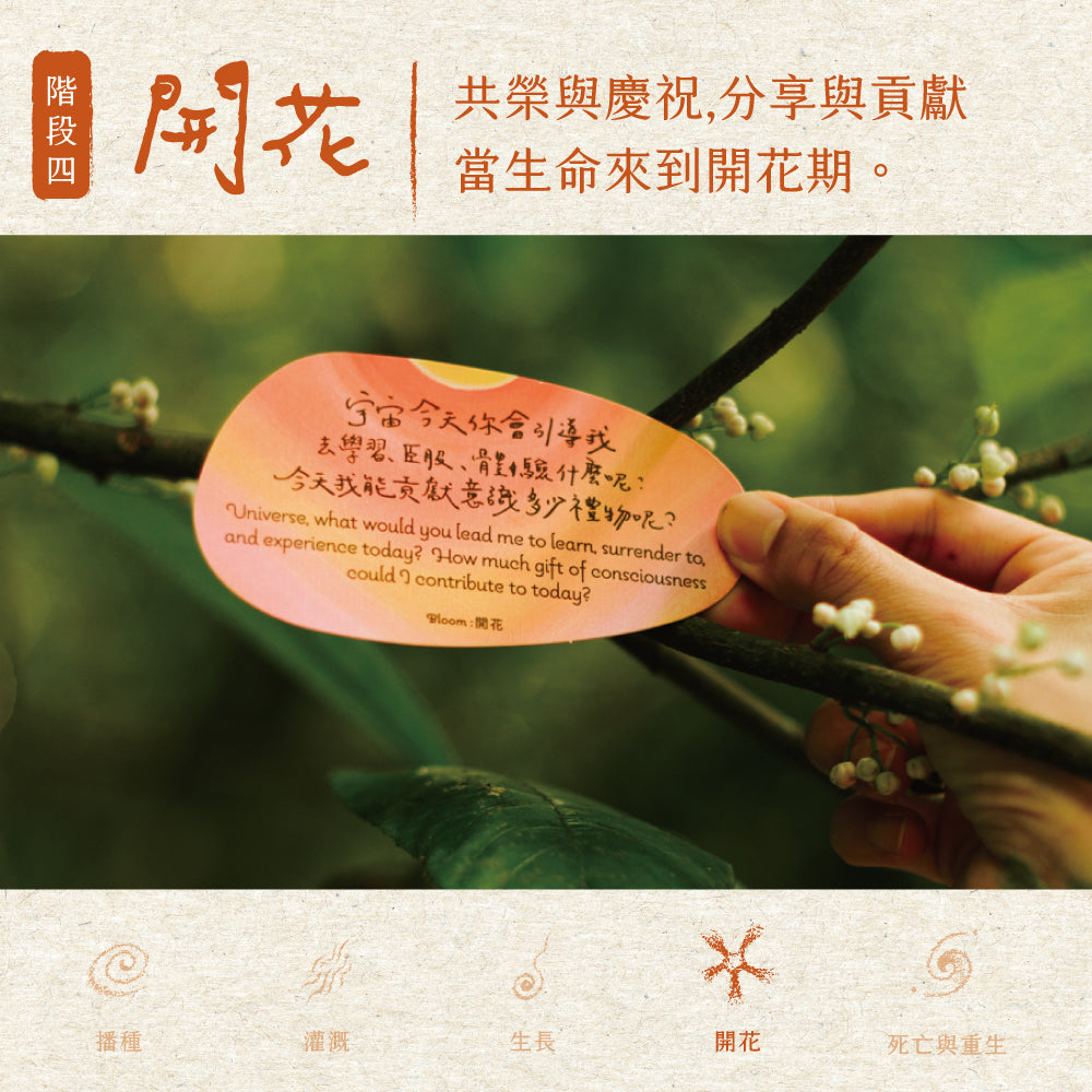 大地的喜悅之籽牌卡