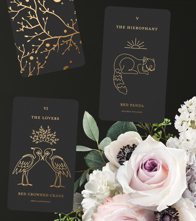 Rare Creatures Tarot