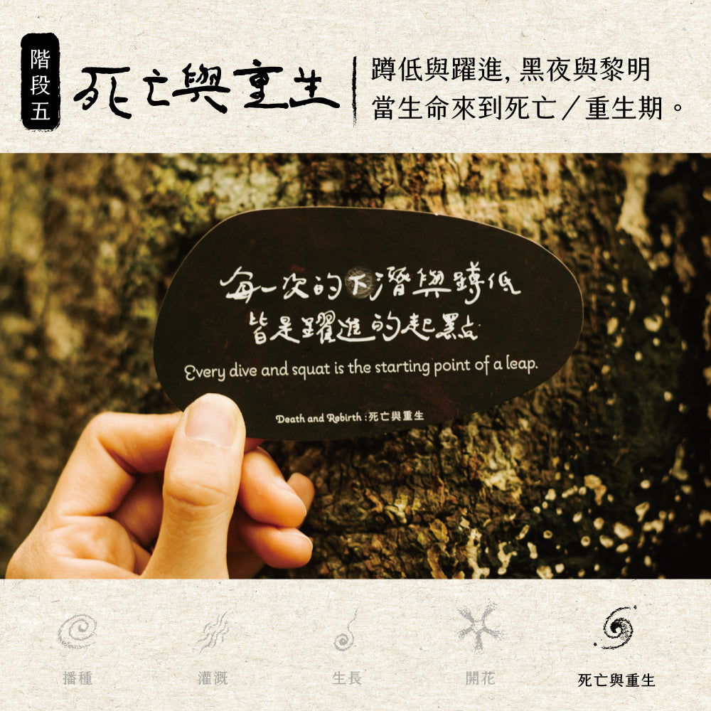 大地的喜悅之籽牌卡