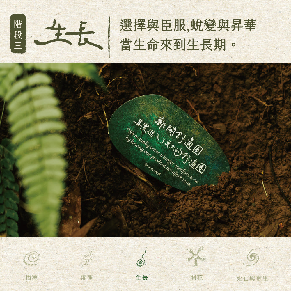 大地的喜悅之籽牌卡