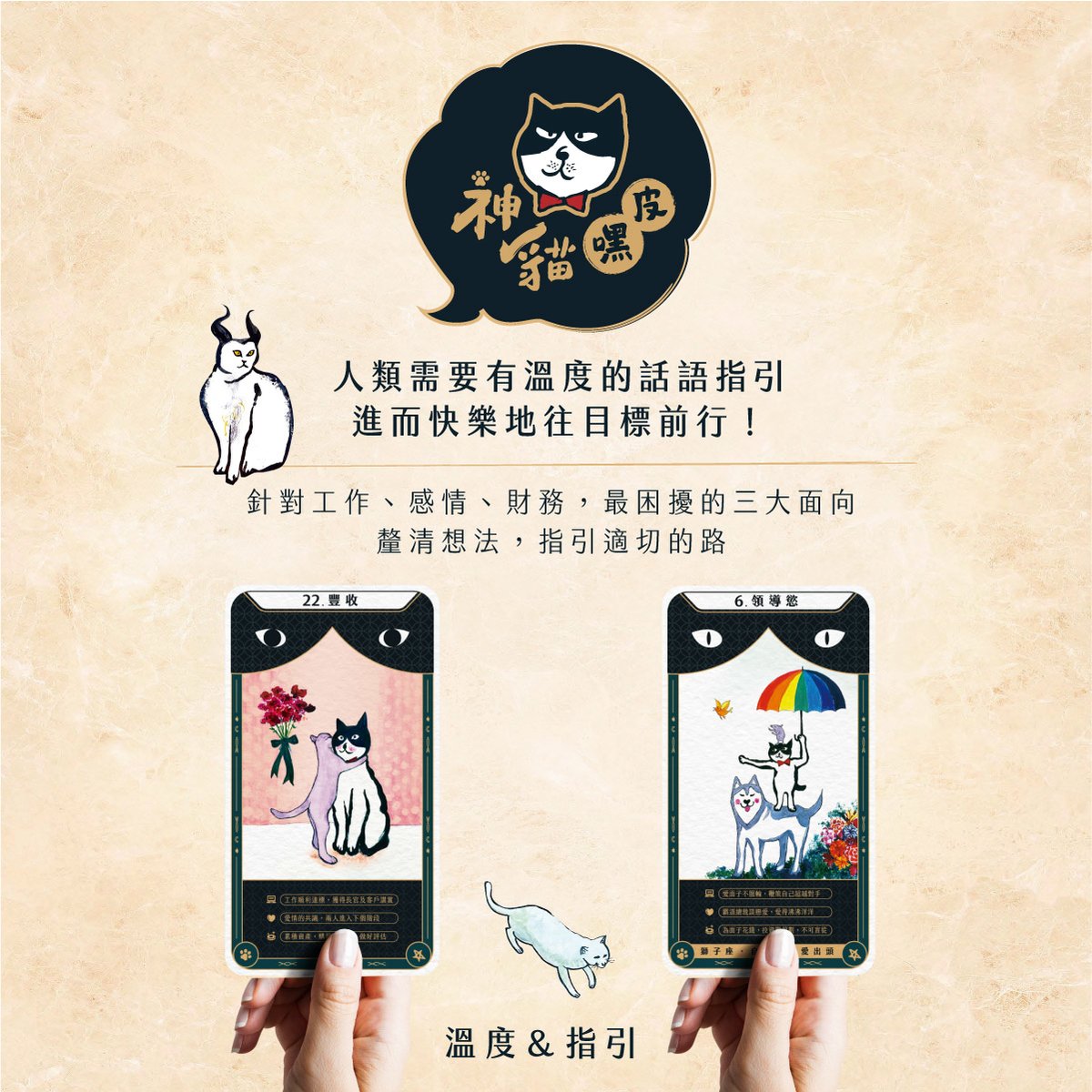 神貓指引卡(送神貓儀式布!)