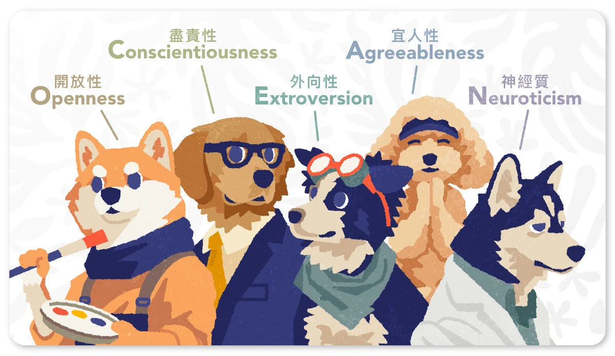5色人格自我內言卡