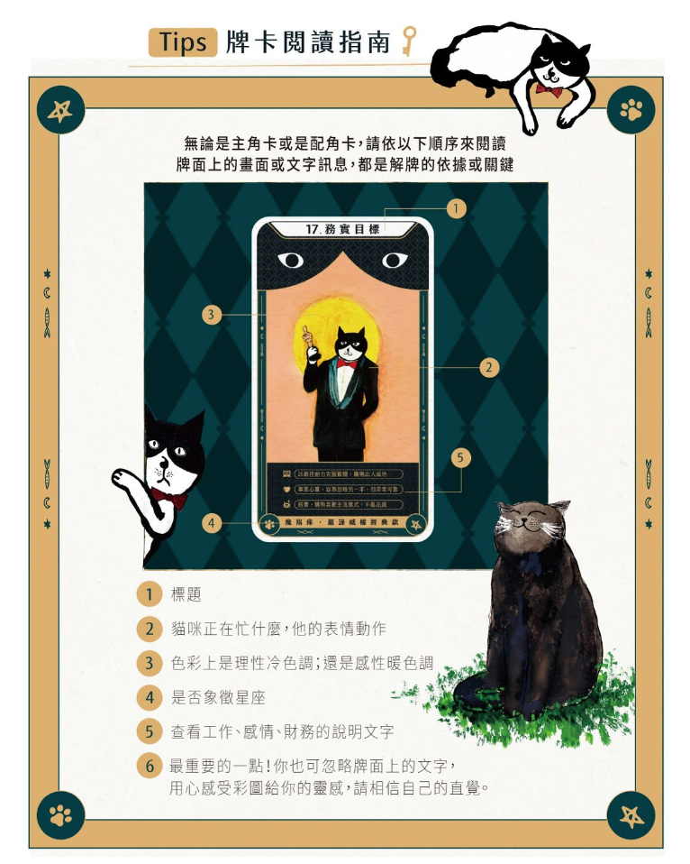 神貓指引卡(送神貓儀式布!)