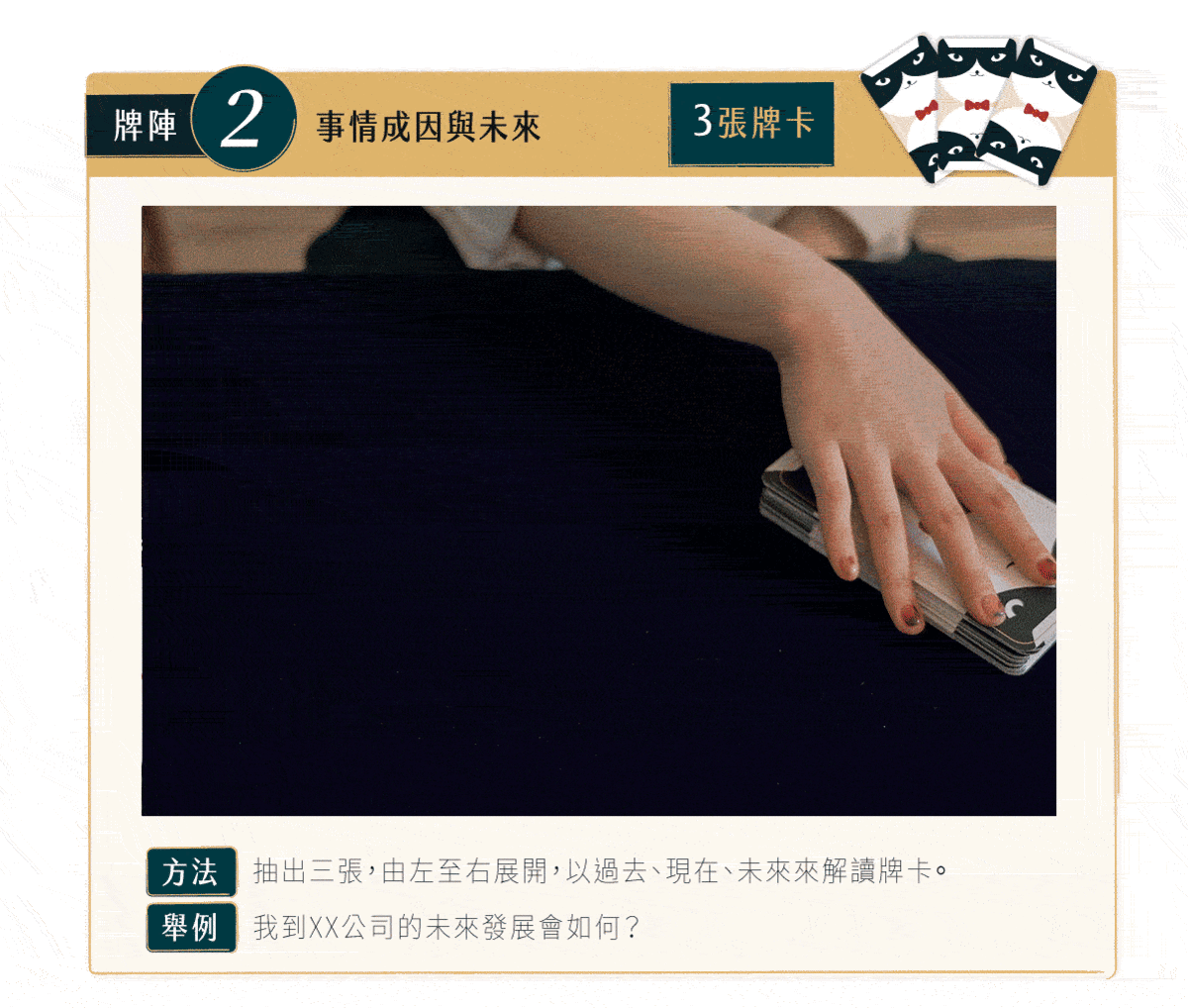 神貓指引卡(送神貓儀式布!)